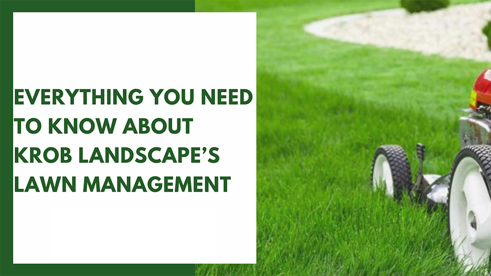 Everything You Need to Know About Krob Landscape’s Lawn Management.png